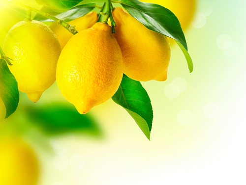 Limonun faydaları saymakla bitmez 32