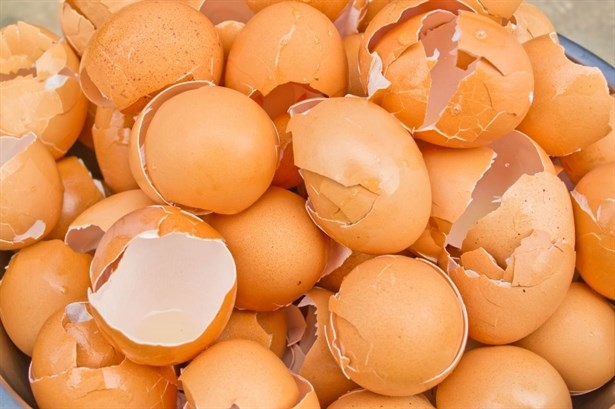 Yumurta Kabuğunu Sakın Çöpe Atmayın! 1