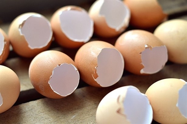 Yumurta Kabuğunu Sakın Çöpe Atmayın! 2