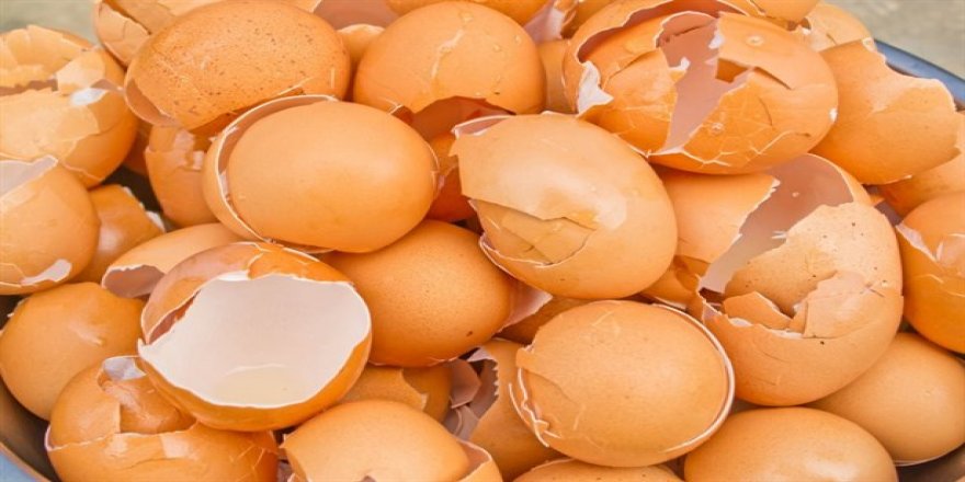 Yumurta Kabuğunu Sakın Çöpe Atmayın!