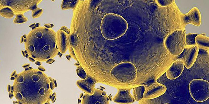 Çinli bilim insanları: Koronavirüs mutasyon geçiriyor