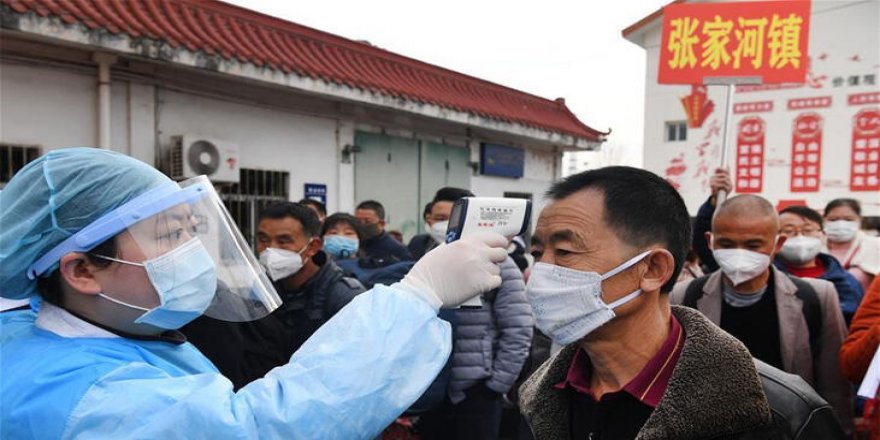 Çin'de bu kez Hanta virüs paniği