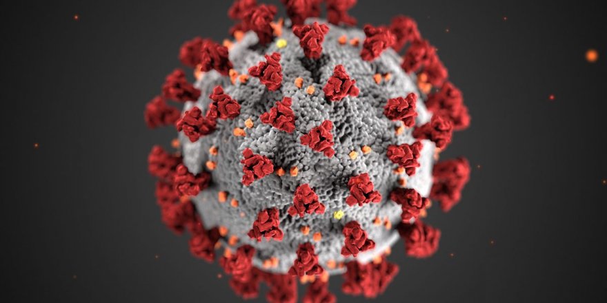 Koronavirisün iki yeni belirtisi ortaya çıktı
