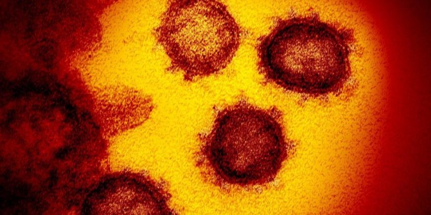 Corona virüsü ile ilgili korkutan keşif: Tam iki kat daha bulaşıcı