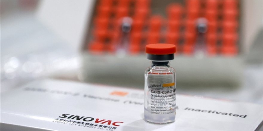 20 Bin doz Sinovac aşısı KKTC’de