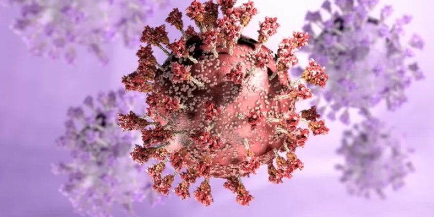 Omicron varyantı nasıl ortaya çıktı, koronavirüsle mücadelede neden önemli?