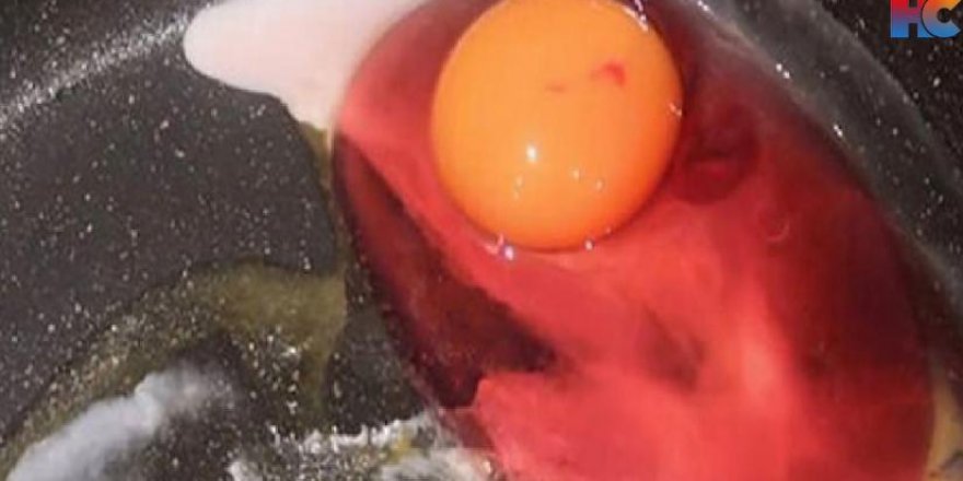 Evde kırılan yumurta, kırmızı aktı! Uzmanlar, "Görürseniz sakın tüketmeyin" diye uyardı