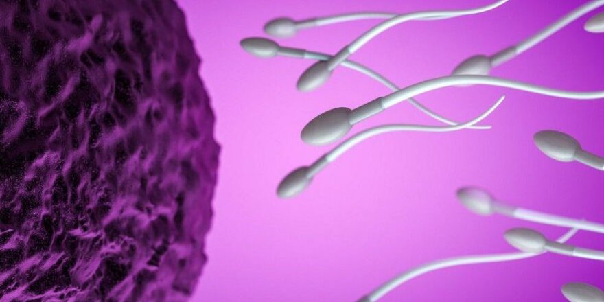 Bilimsel araştırma: Kilo sperm kalitesini etkiliyor
