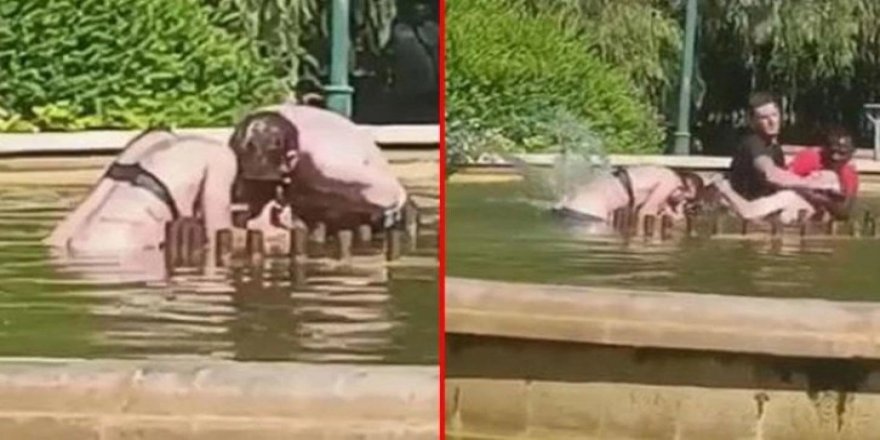 Yarı çıplak kadını parktaki havuzda boğmaya çalıştı! Nedeni olaydan garip