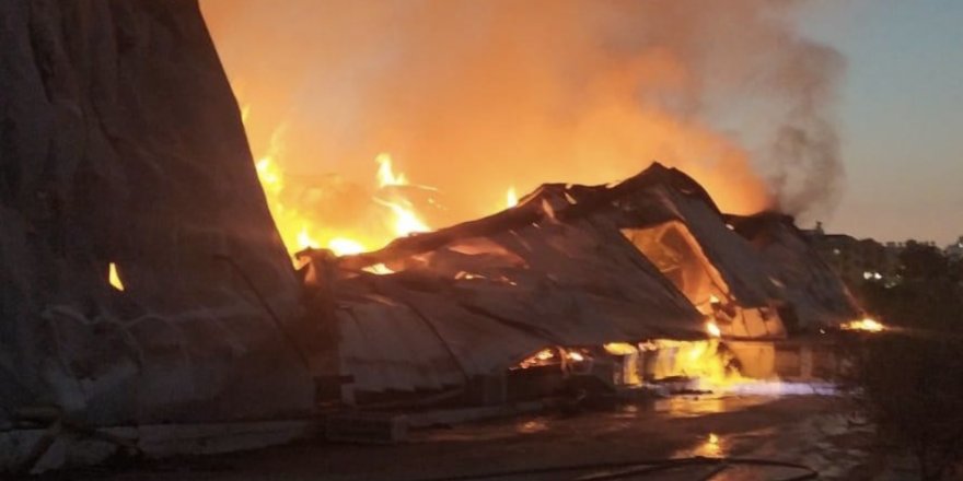Bakan Amcaoğlu: Yangın ekiplerin anında müdahalesi ile kontrol altına alındı