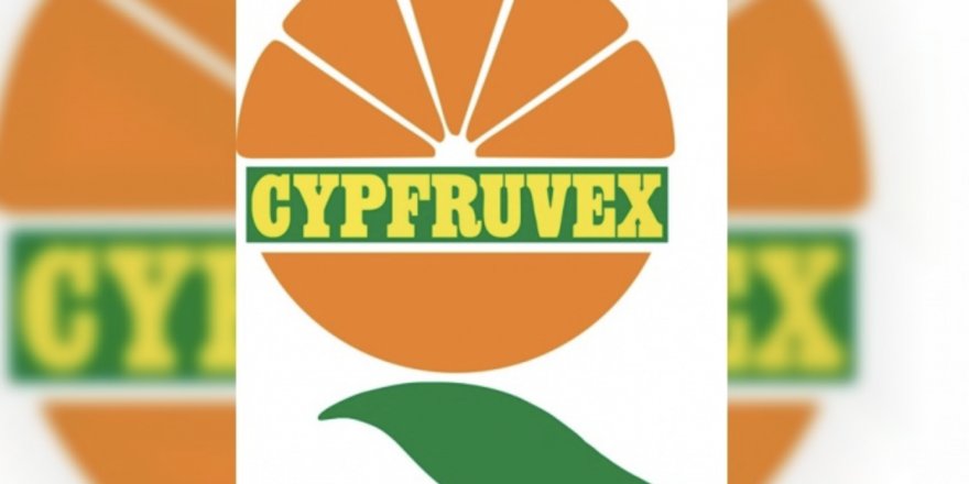 Cypfruvex’ten limon üreticilerine duyuru
