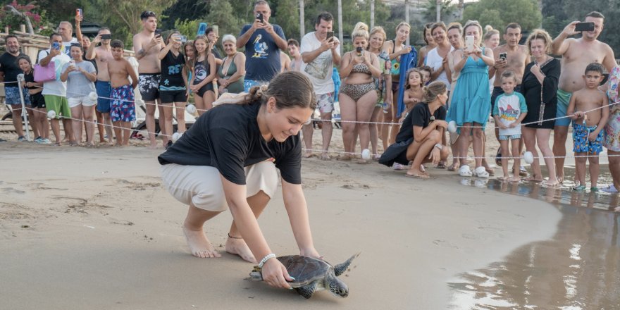 Boğulma tehlikesi yaşayan kaplumbağa denize bırakıldı