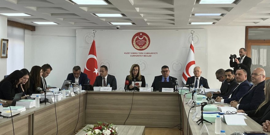 Maliye Bakanı Berova:Kayıt dışı ekonomi ile en etkin şekilde mücadele edilecek