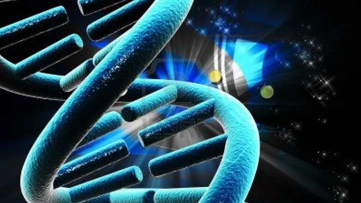 DNA’NIN GİZLİ KODLARI