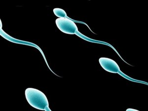 Sperm Sayısı 120 Milyondan 15 Milyona Düştü