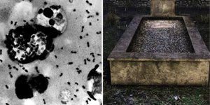 700 yıllık mezarı kazan bilim insanları, koca bir nesli yok eden 'kara ölüm'ün kaynağını buldu
