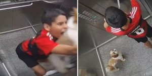 11 yaşındaki çocuk, yavru köpeği boğulmaktan kurtardı