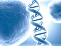 ÖDENEK EKSİKLİĞİ DNA ANALİZLERİNİN TESLİMİNİ GECİKTİRDİ