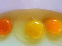 Yumurtanın Sarısı Böyleyse Dikkat!